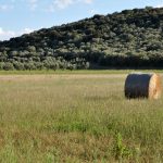 Maremma Toscane