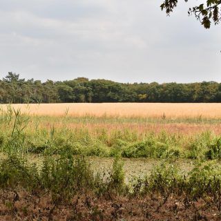 Landgoed Beerschoten