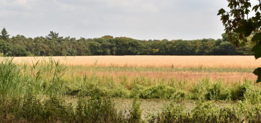 Landgoed Beerschoten