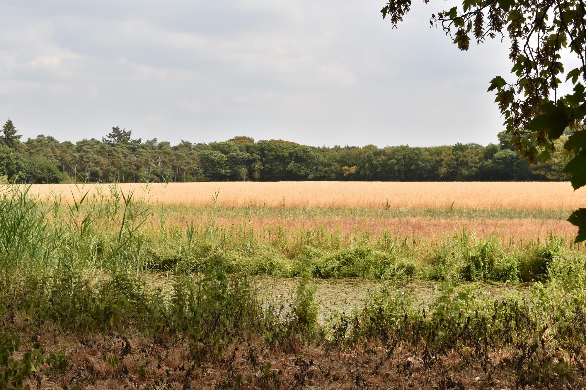 Landgoed Beerschoten