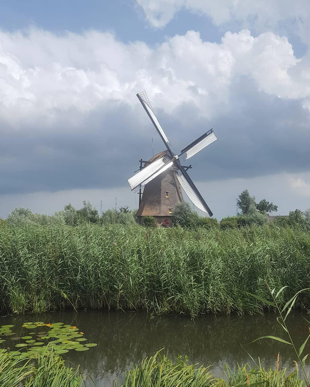 Kinderdijk