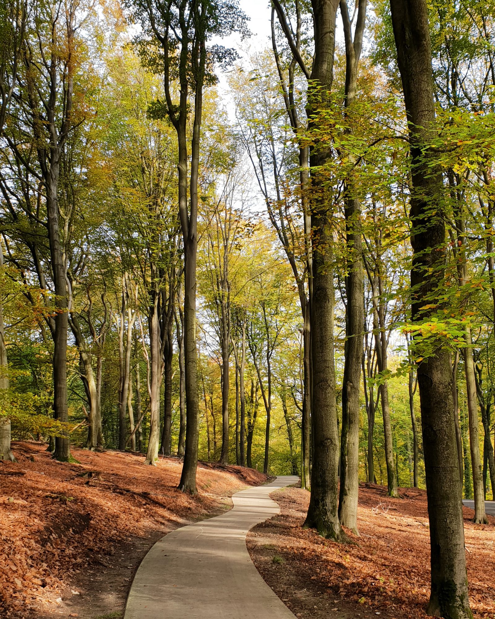 Veluwe