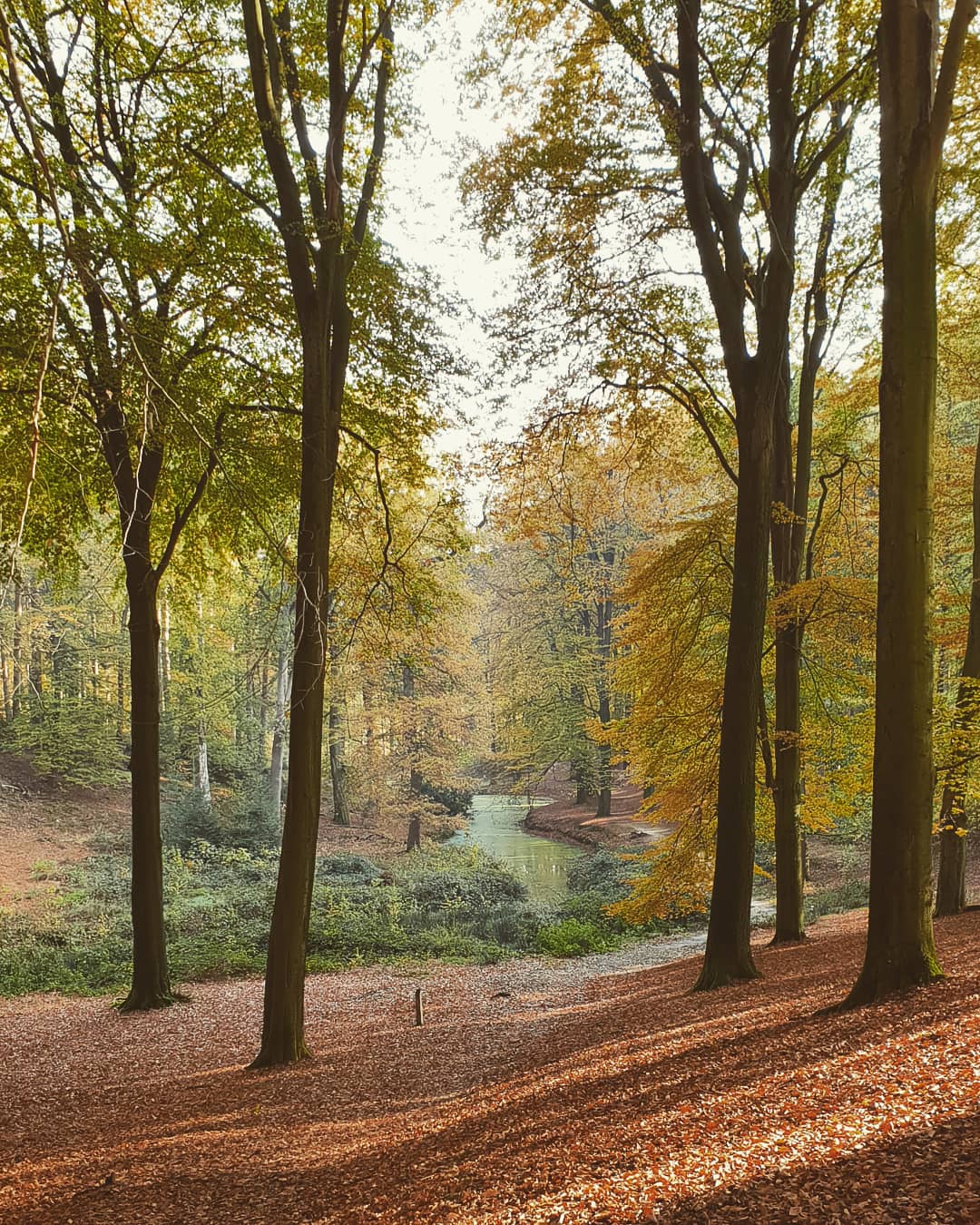 Nationaal Park Veluwezoom