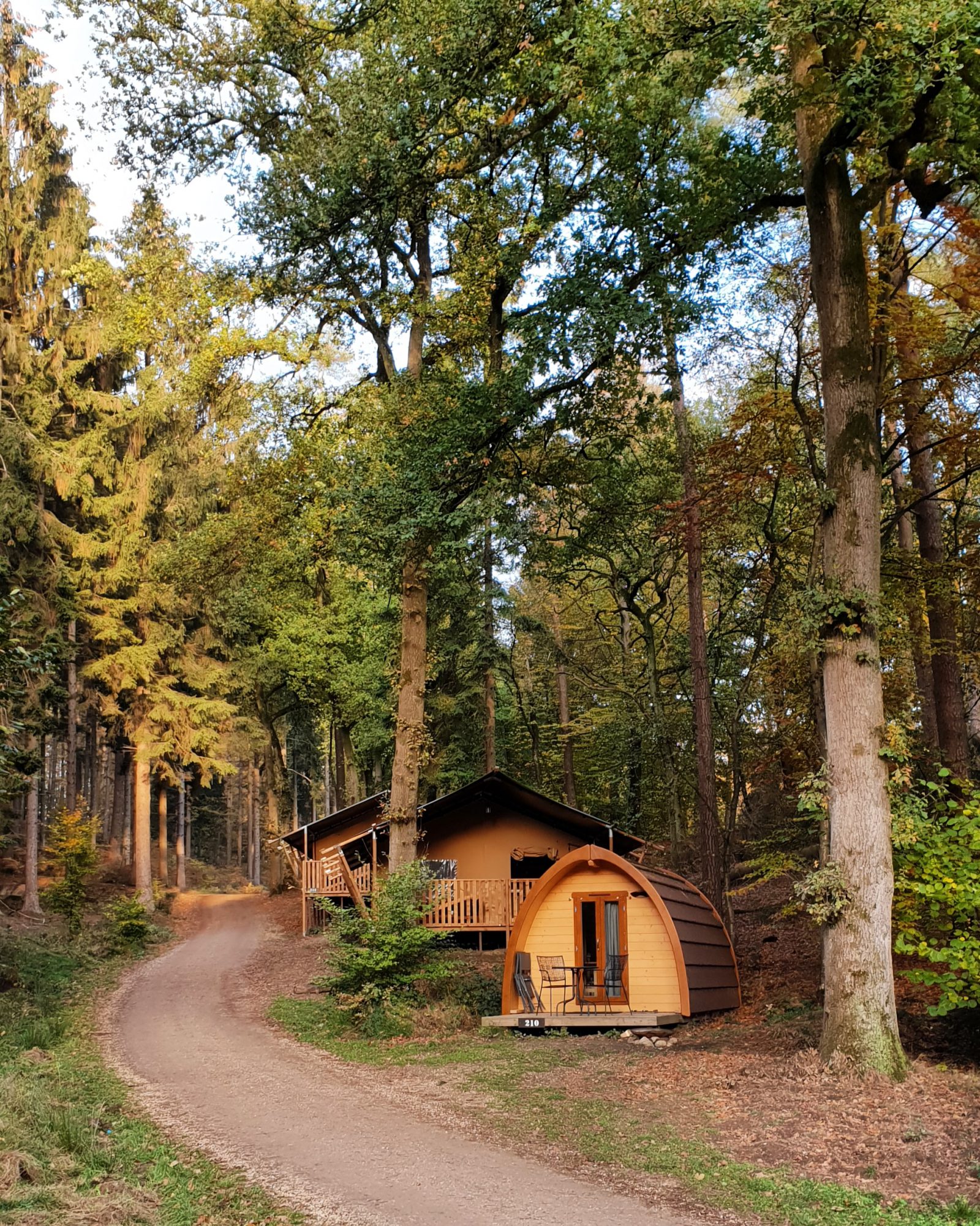 Glamping Veluwe