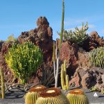 Jardín de Cactus Lanzarote