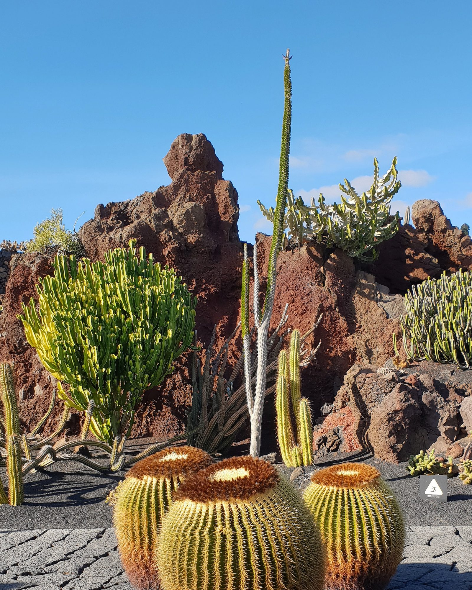 Jardín de Cactus Lanzarote