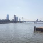 Maas Rotterdam