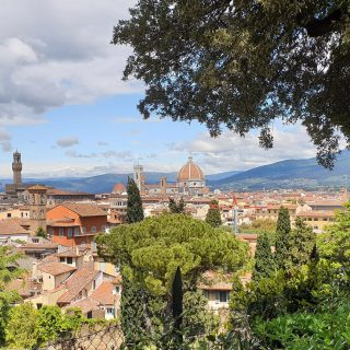 Uitzicht op Florence