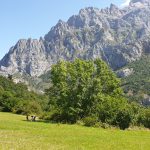 Los Picos de Europa