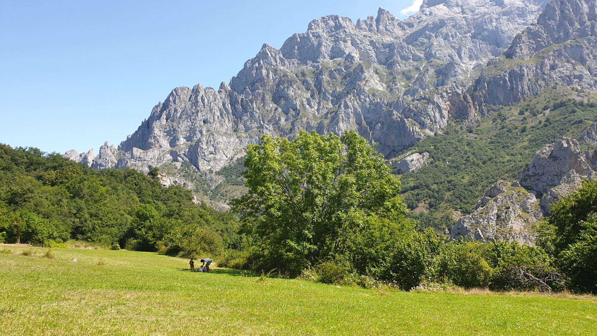 Los Picos de Europa