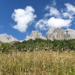 Los Picos de Europa