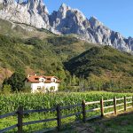 Los Picos de Europa