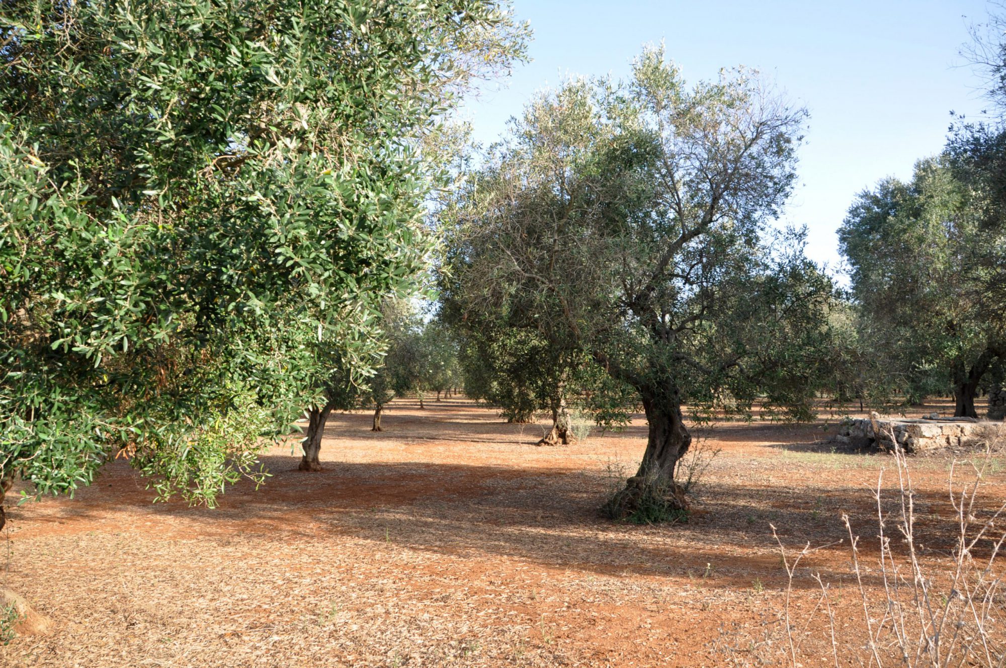 Puglia