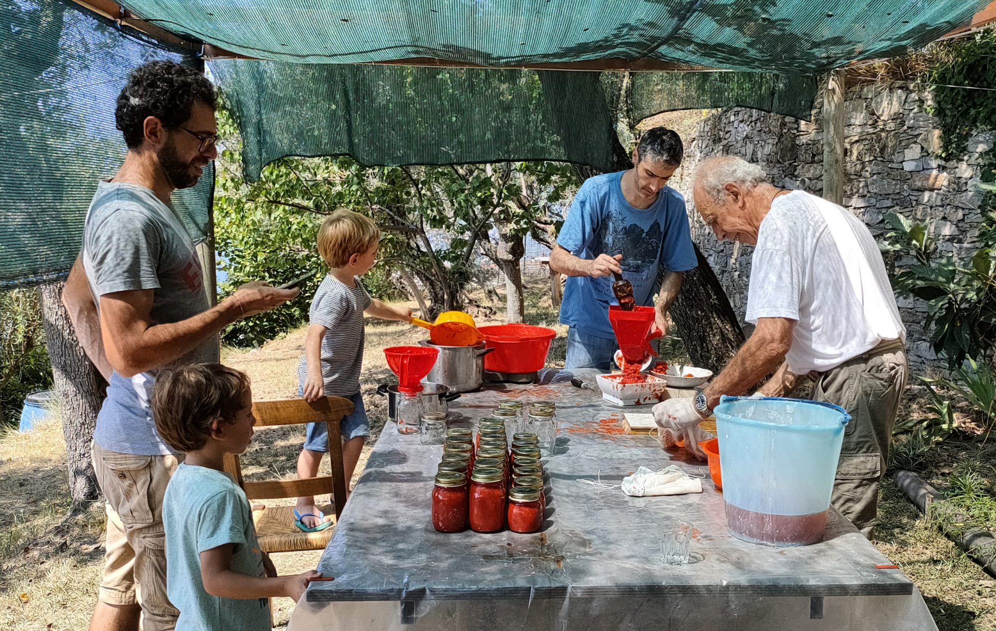 Tomatensaus maken