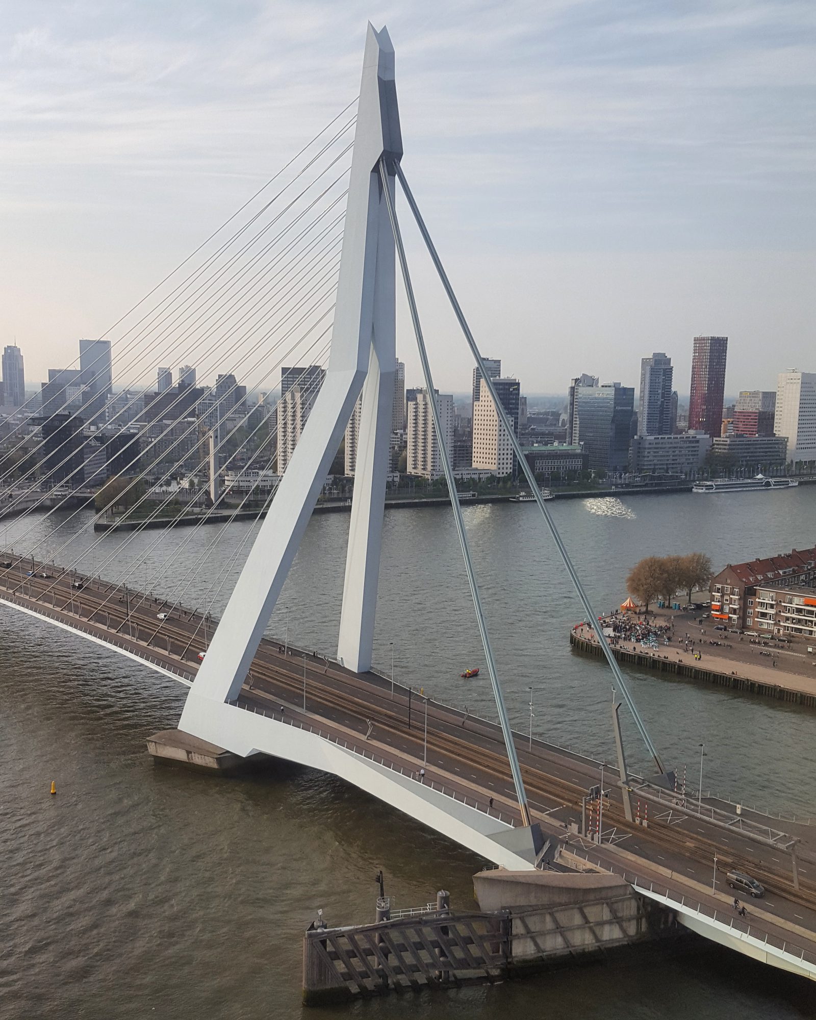 Erasmusbrug Rotterdam