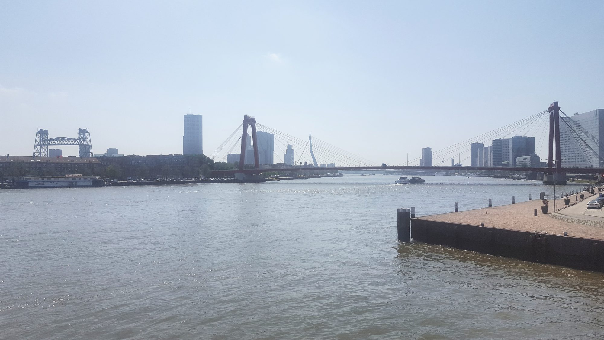Rotterdammers hebben een Rotterdampas. Ja toch, niet dan?