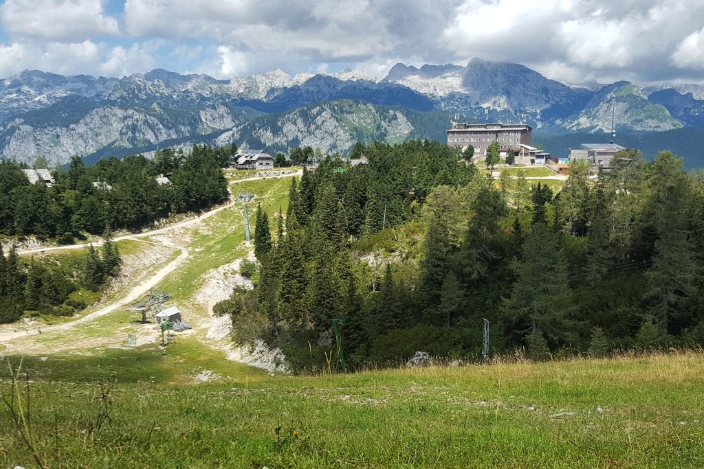 Vogel Slovenië
